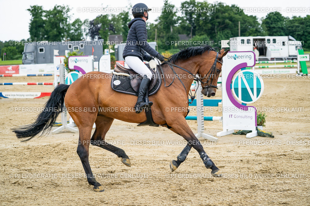 DSC05761 | Pferdegrafie