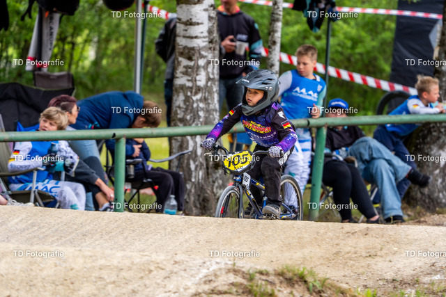 BayBMX2026-06152 | Fotogalerie von Thomas Dettweiler mit Eventbildern und lizenzfreien Fotos. Perfekt als Wandbild, für Büro, Website oder private Nutzung. - Realisiert mit Pictrs.com