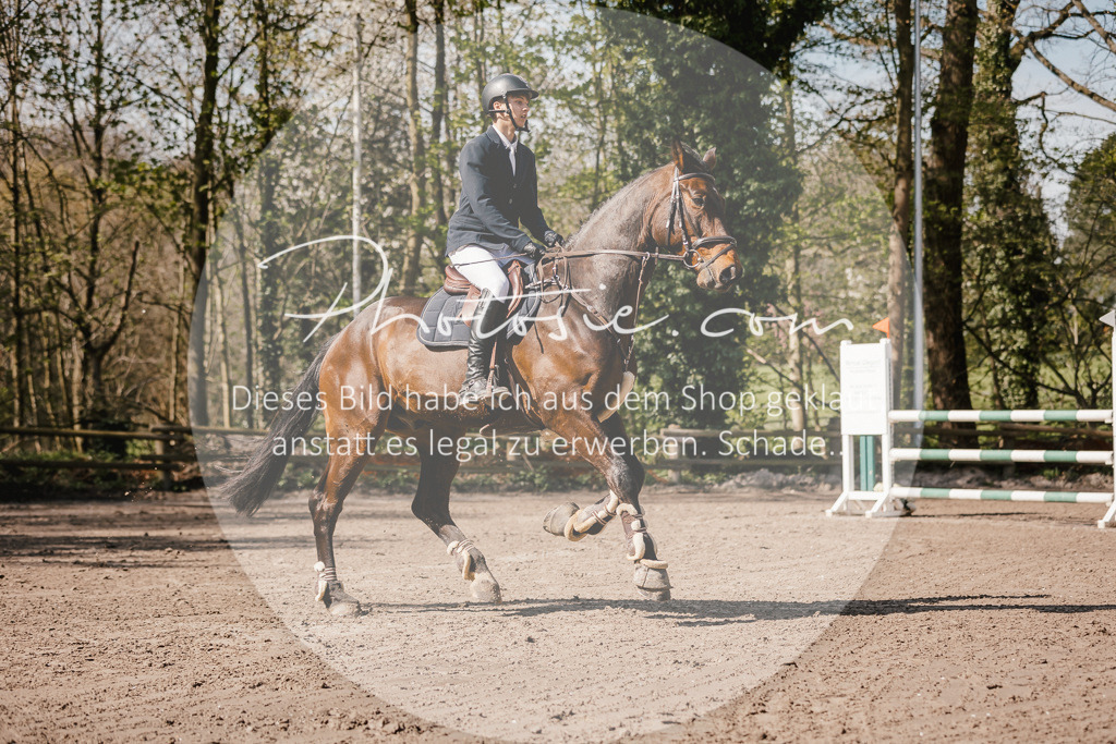 3I6A4073 | Stimmungsvolle Portraits und Reitsportfotografie im Ruhrgebiet und im Münsterland.

Pferdefotografie, Hundefotografie, Tierfotografie, Reportagen, Portraits von Tier und Mensch, Turnierfotografie in Bochum, Recklinghausen, Marl, Haltern am See, Dülmen.. - Realisiert mit Pictrs.com