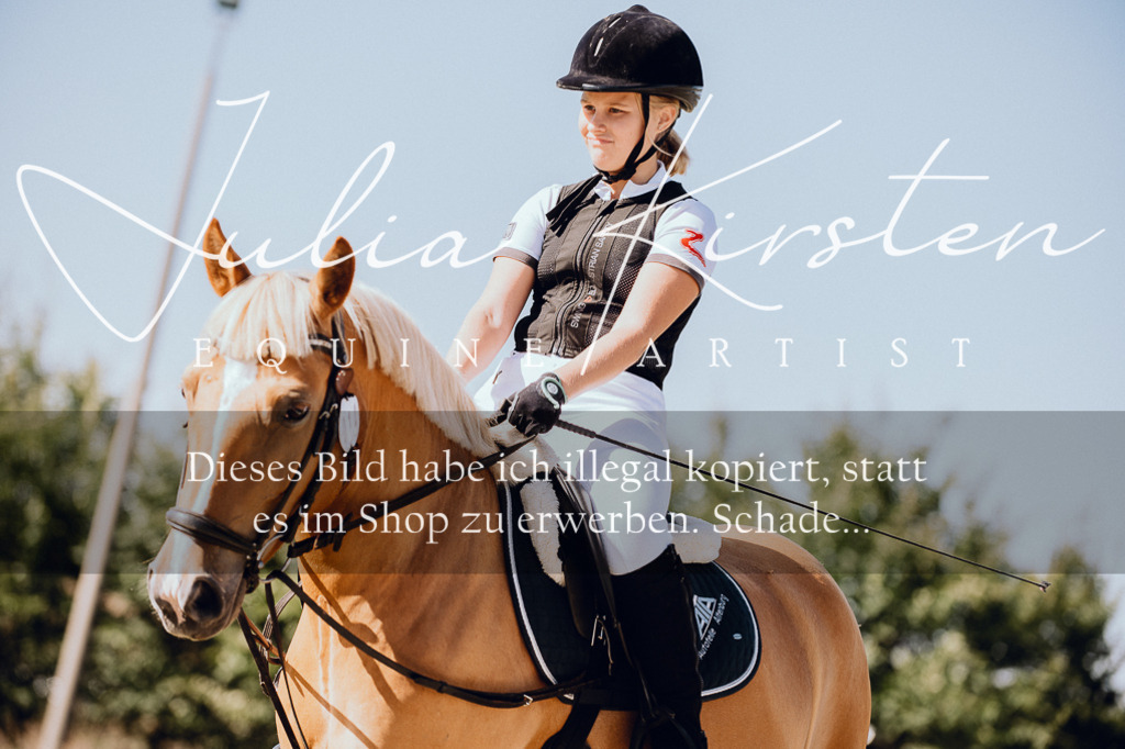 DSC_7028 | Pferde- und Turnierfotografie in Westsachsen. Pferdeportraits, Auftragszeichnungen und intuitive Kunst.