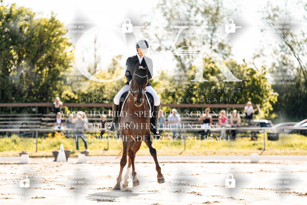 CK909137 | Turnierfotografie Pferdefotografie Trier Rheinland-Pfalz Pferdesport Reitsport Tierfotografie Sportfotografie Pferdevideo Pferdevideografie Equestrianvideography equestrianphotography  - Realisiert mit Pictrs.com