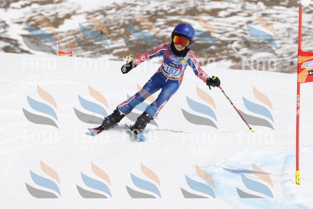 _U3G1851 | holidayphoto