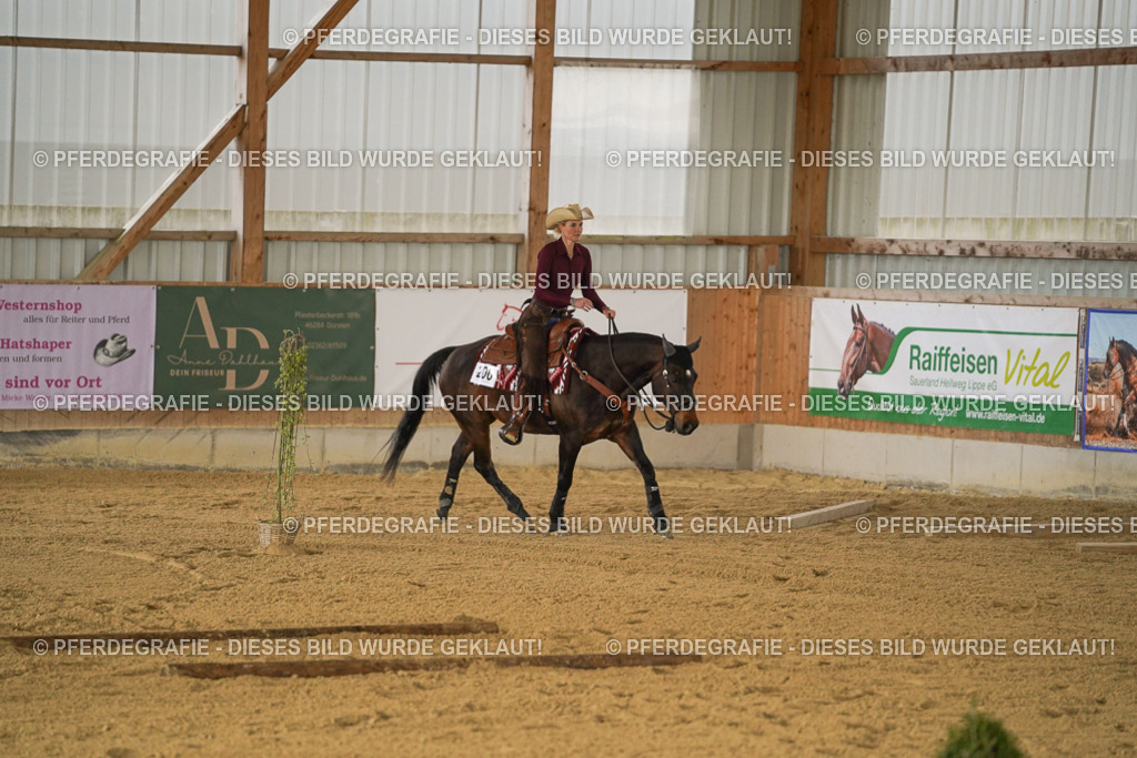 DSC03782 | Pferdegrafie