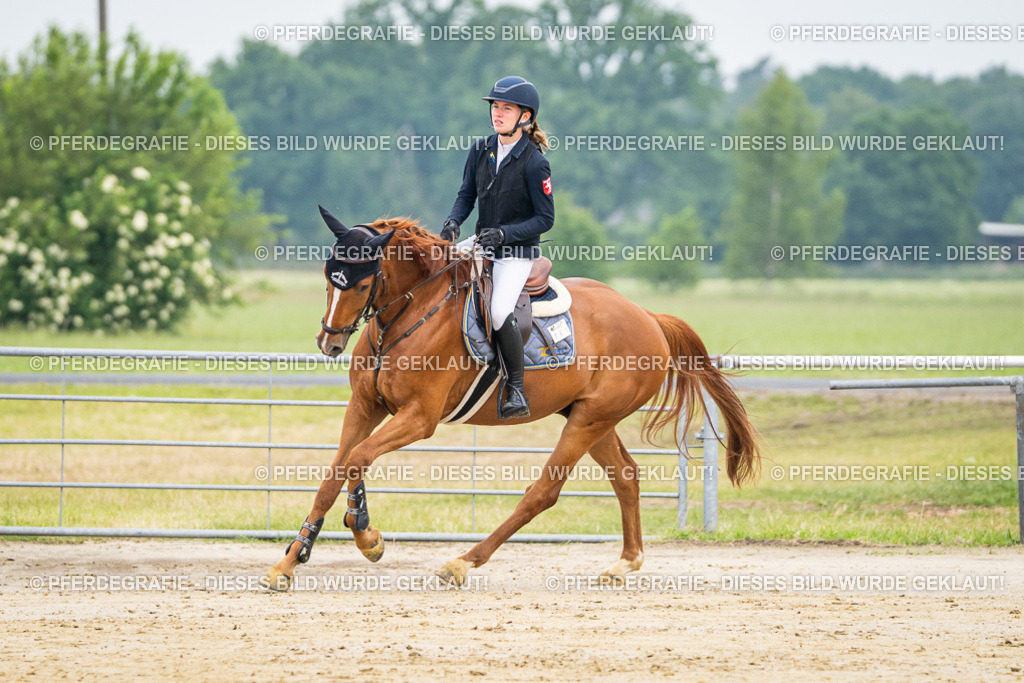 DSC09476 | Pferdegrafie