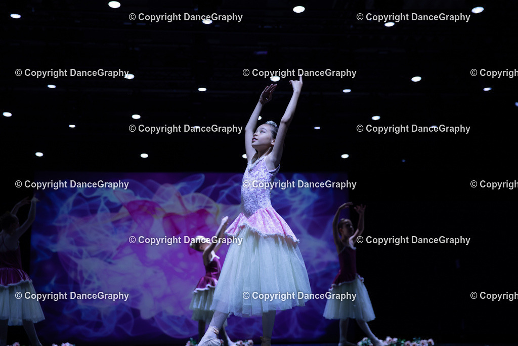 GPHY4817 | DanceGraphy - Realisiert mit Pictrs.com