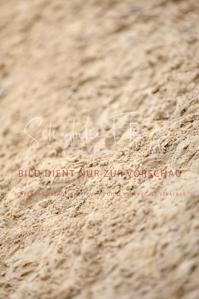 Schugtsche-Aluta25-44.DresssurreiterWB-53 | Schugtsche Fotografie - Realisiert mit Pictrs.com