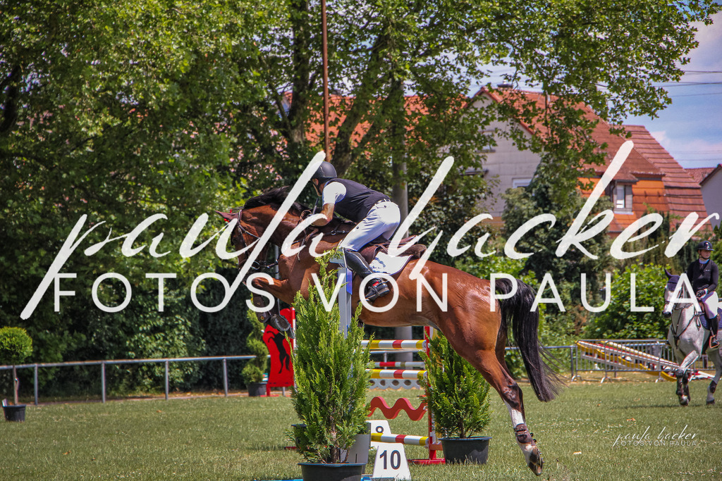 IMG_9454 | Erleben Sie dynamische Sport- und emotionale Tierfotografie in Süddeutschland mit Fotos von Paula. Spezialisiert auf Pferde- und Hundefotografie sowie Sportevents. Kontaktieren Sie mich für einzigartige und ausdrucksstarke Bilder Ihrer besonderen Momente. - Realisiert mit Pictrs.com