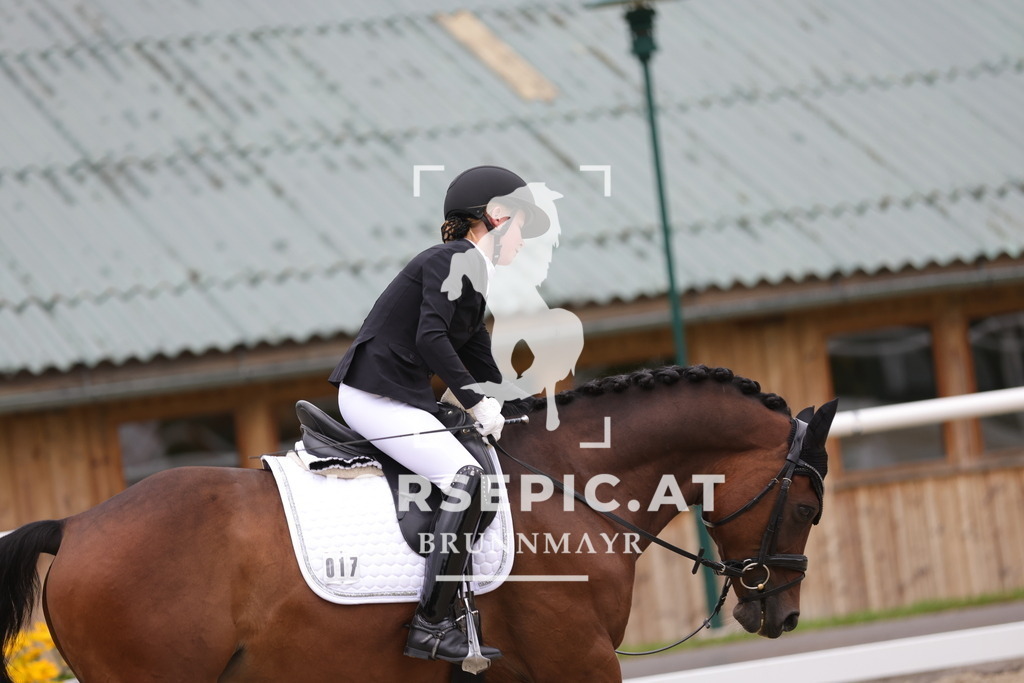 0P6A8003 | Willkommen bei Brunnmayr - Design & Fotografie – Ihrem Spezialisten für Reitturniere und Pferdeveranstaltungen in Oberösterreich, Salzburg und Bayern! Seit über 17 Jahren sind wir leidenschaftlich dabei.