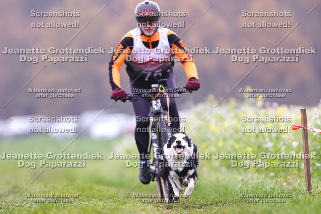 Dog Paparazzi - Visbeck 25 -169 | Dog Paparazzi Jeanette Grottendiek Fotografie & Videografie - Realisiert mit Pictrs.com