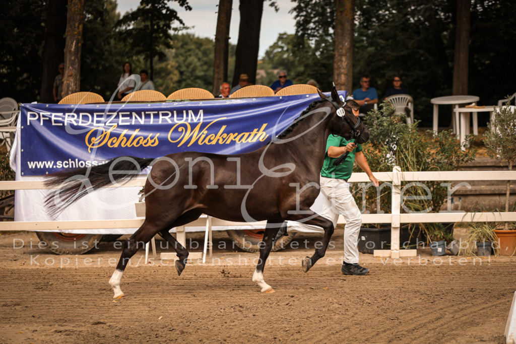 12.So00008 | Leoni Ertmer Photography - Realisiert mit Pictrs.com