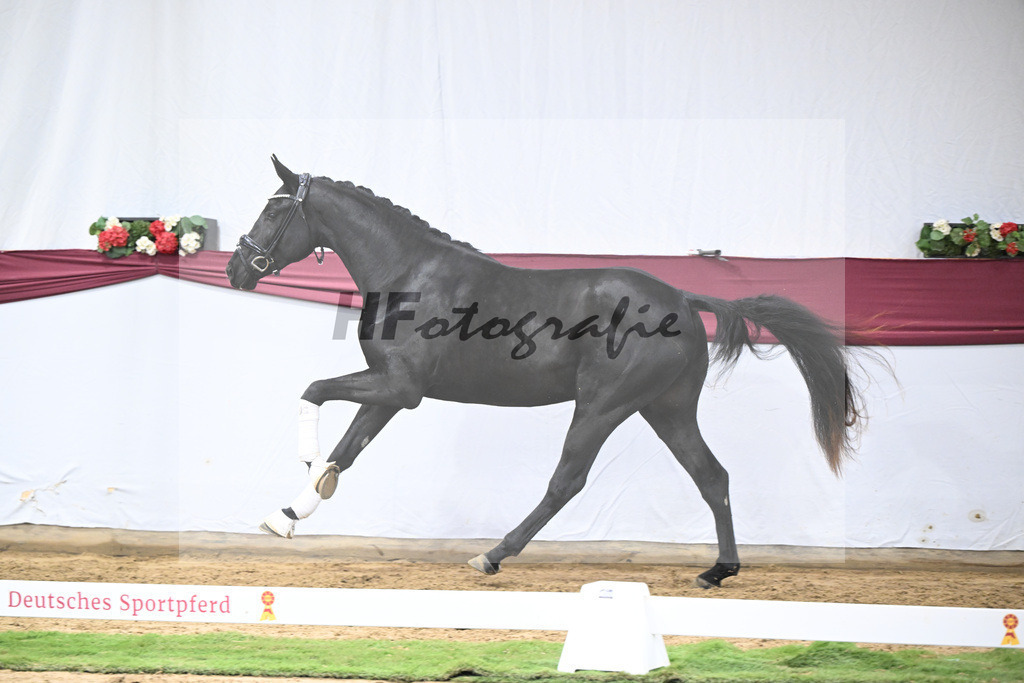 Kat-Nr. 37 St. Emilion x Quantensprung_Uwe Kraft_47251301 | hf-fotografie - Realisiert mit Pictrs.com