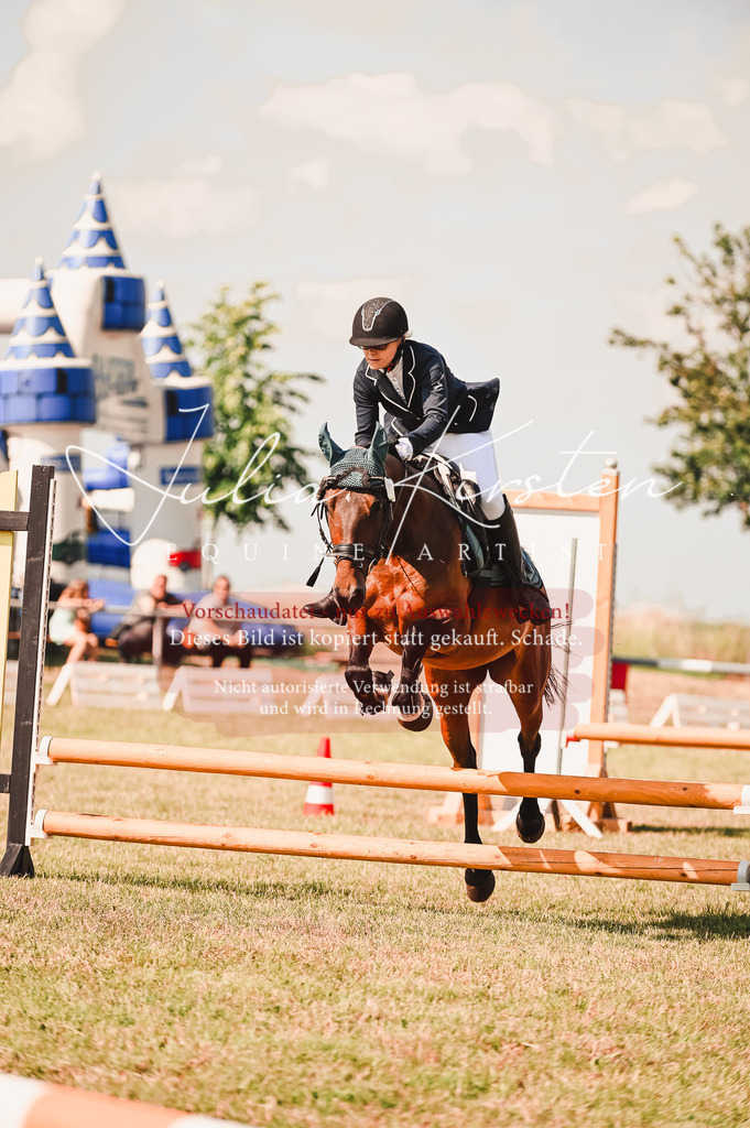 DSC_7367 | Pferde- und Turnierfotografie in Westsachsen. Pferdeportraits, Auftragszeichnungen und intuitive Kunst.