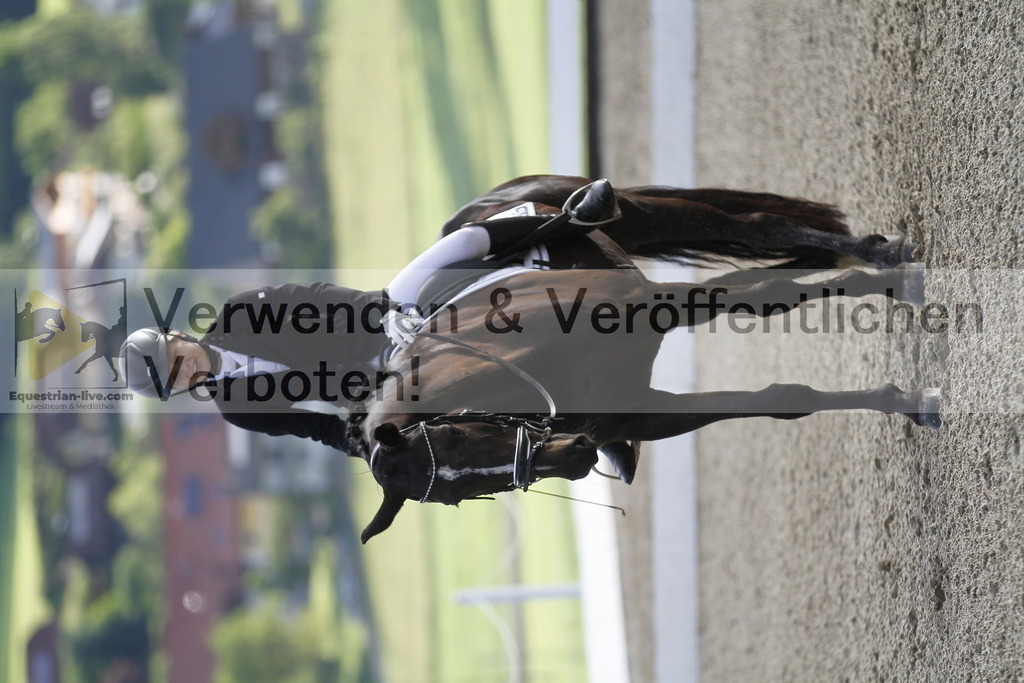 _MG_2549 | equestrian-live-com