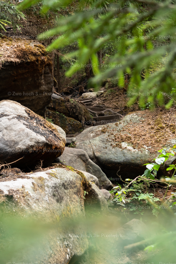 Obere_Affensteinpromenade_Felsblock_Zweig_Moos_Stufen | 2022-09-02_Waldbrandgebiete_2 - Realisiert mit Pictrs.com