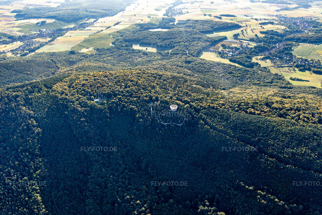 Luftbild: Baumwipfelpfad Elsass in Cleebourg im Bundesland Bas-Rhin in Frankreich. – Foto: IMG_138938.jpg vom 24.09.2023 durch Werner Riehm/FLY-FOTO.de – Auflösung des Originals: 5472 x 3648 px – den Baumwipfelpfaden der Erlebnis Akademie AG!