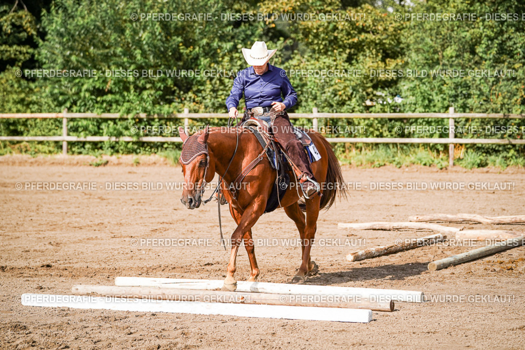 DSC00319 | Pferdegrafie