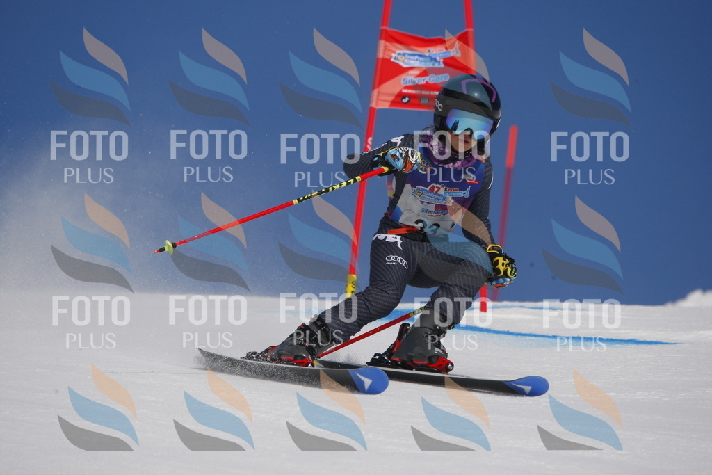 _W1G0444 | holidayphoto