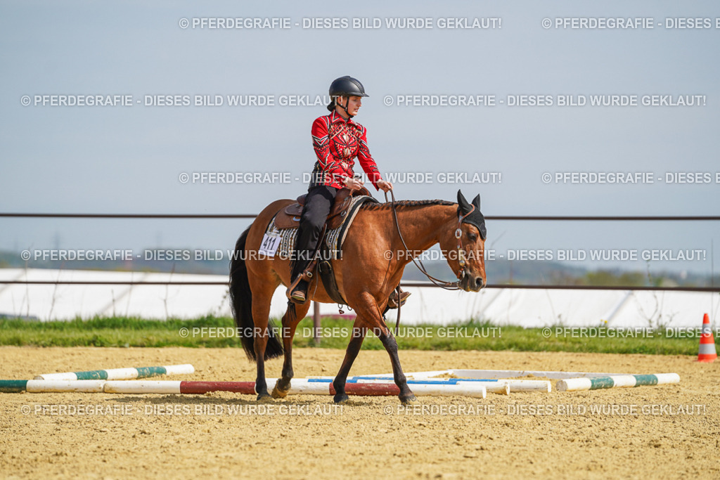 DSC04509 | Pferdegrafie