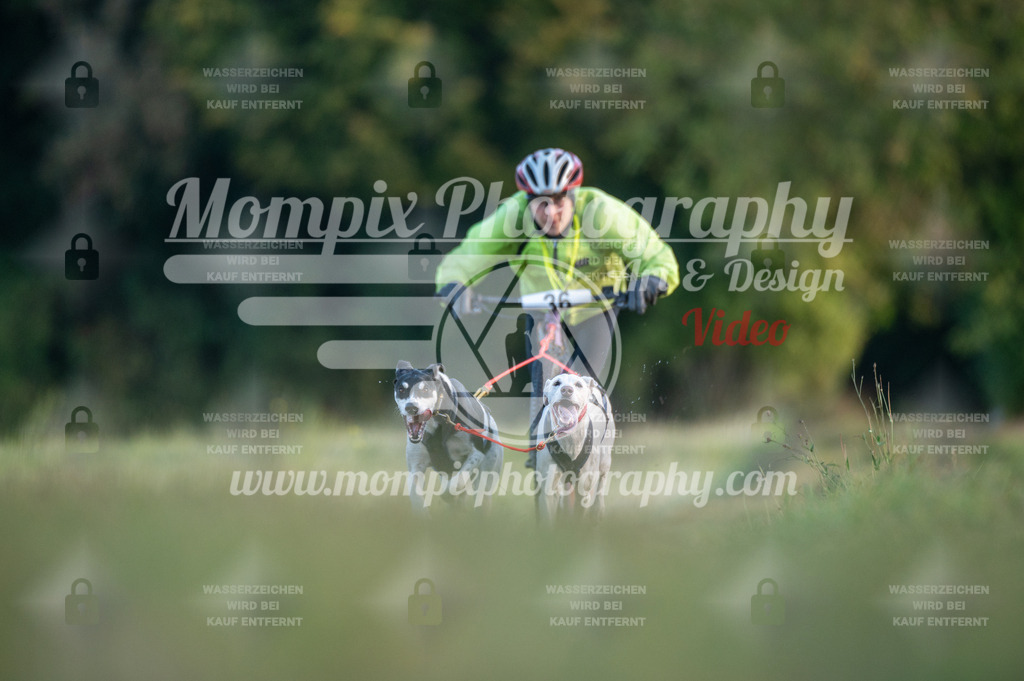 CDLBDB_15_10_2023_Dimanche-66 | mompixphotography