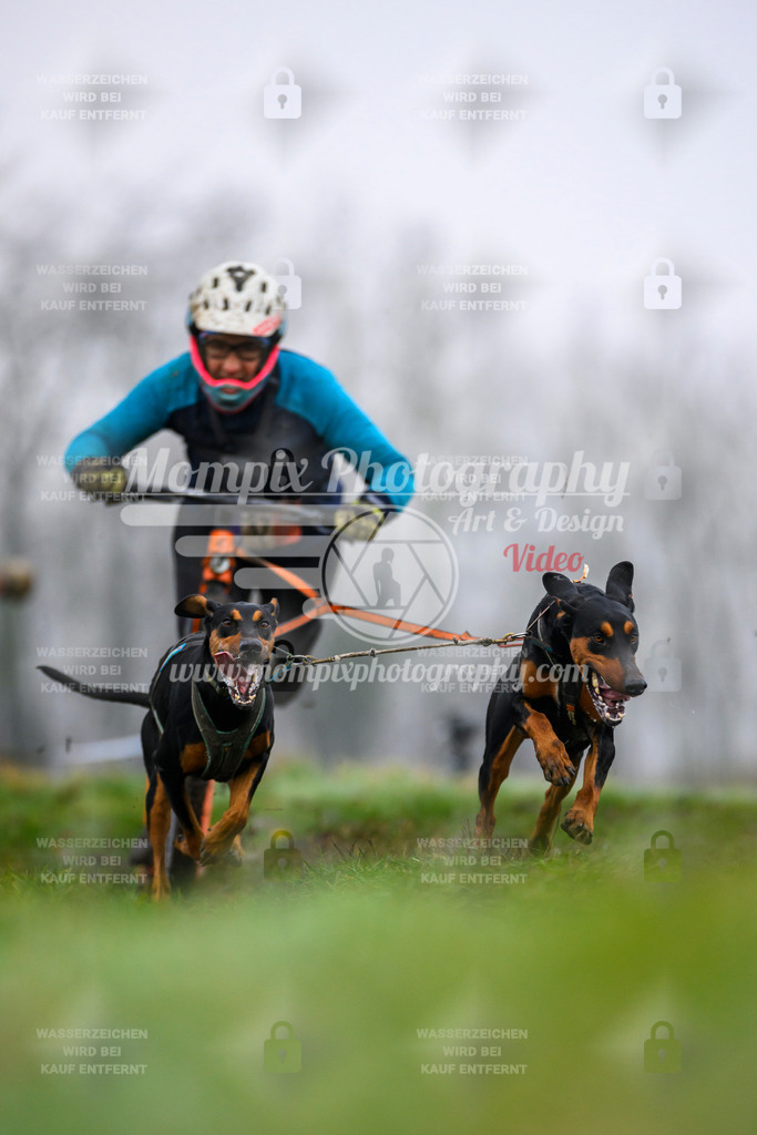 MompixPhotography_CDF2023_FFST_Di_DS2-23 | PayLife