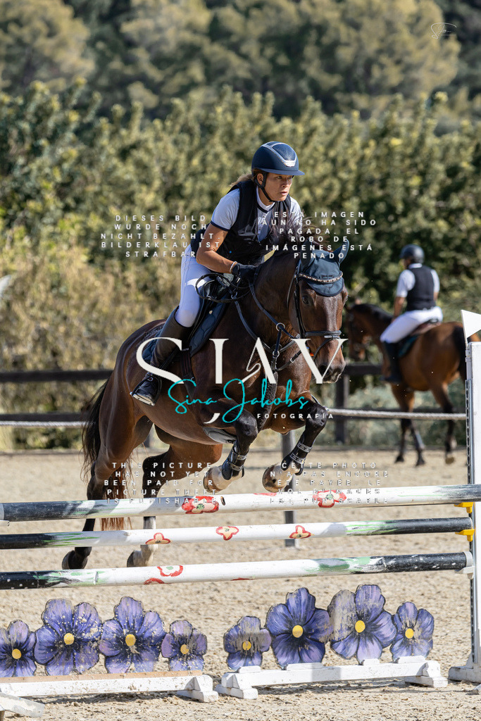 IMG_0587 | s-jay-photography - Realisiert mit Pictrs.com