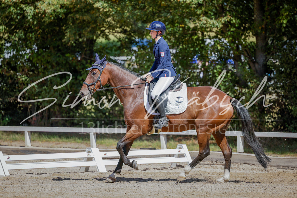 20250906-_3LI4522 | Tierfotografie Pferde, Hunde, Katzen, Haustiere.
Turnierfotografie Reitturniere, Reiten, Springreiten, Dressur in Hanau, dem Main-Kinzig-Kreis und dem Rhein-Main- Gebiet um Frankfurt