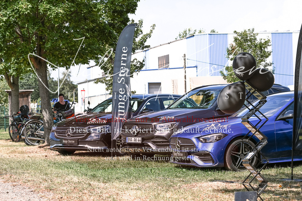 DSC_7073 | Pferde- und Turnierfotografie in Westsachsen. Pferdeportraits, Auftragszeichnungen und intuitive Kunst.