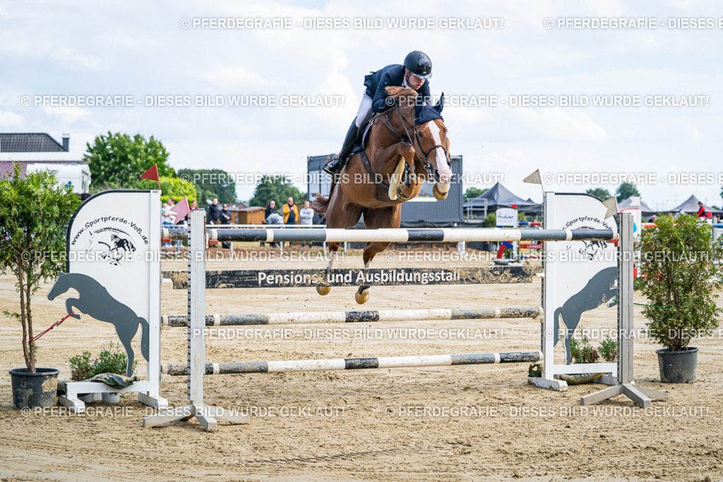 DSC06658 | Pferdegrafie