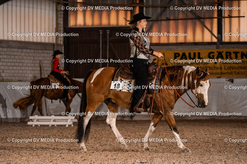 ZH300093 | dv-media-shop - Realisiert mit Pictrs.com