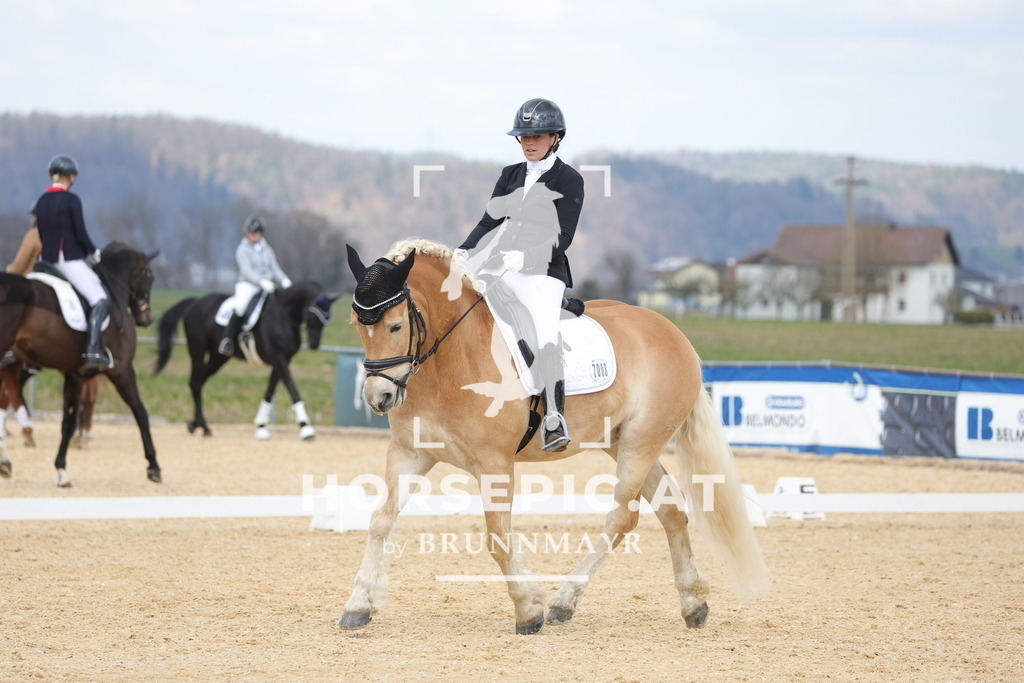 0P6A6923 | Willkommen bei Brunnmayr - Design & Fotografie – Ihrem Spezialisten für Reitturniere und Pferdeveranstaltungen in Oberösterreich, Salzburg und Bayern! Seit über 17 Jahren sind wir leidenschaftlich dabei.