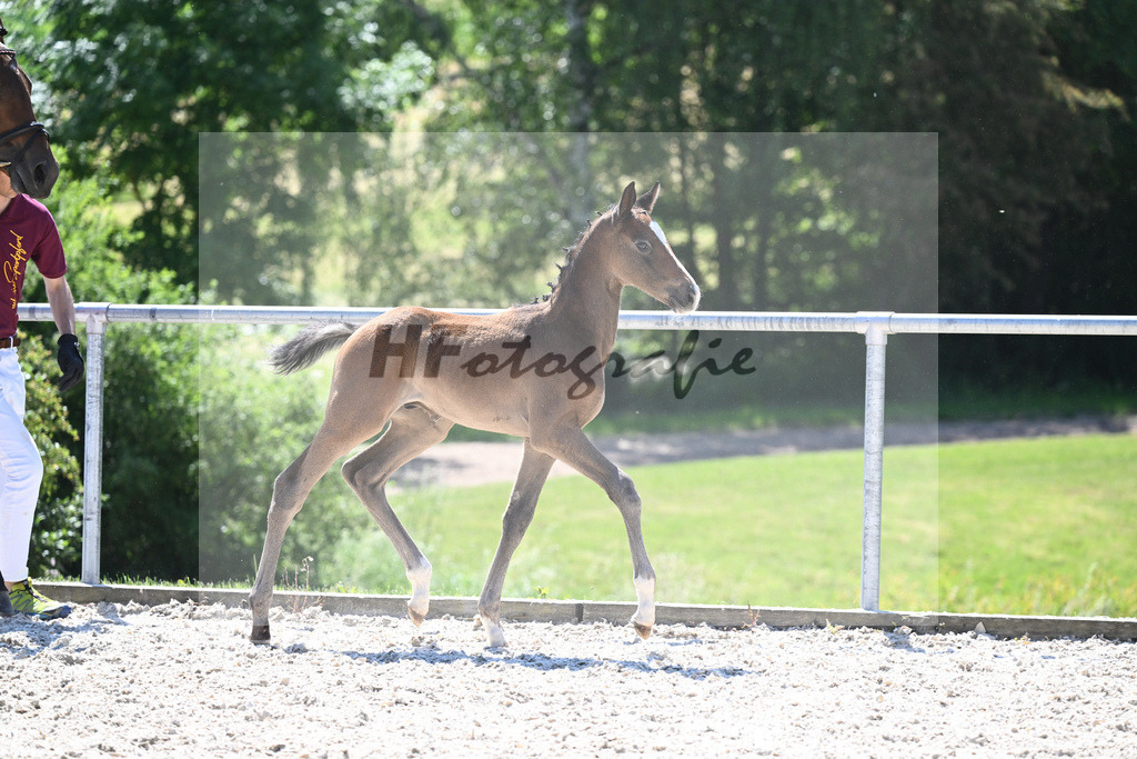 Kat-Nr. 26 HF Vingino_Ruhland_16230346 | hf-fotografie - Realisiert mit Pictrs.com