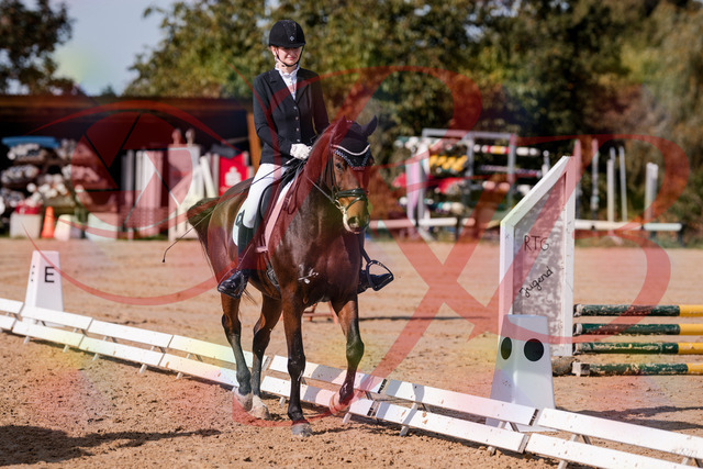 2026_10_03_Siefer-Hof_125222_Z81_41726313 | Professionelle Reitsport-, Turnier- und Eventfotografie von Robert Broda. Galerien mit ausgewählten und bearbeiteten Bildern direkt online ansehen und bestellen.