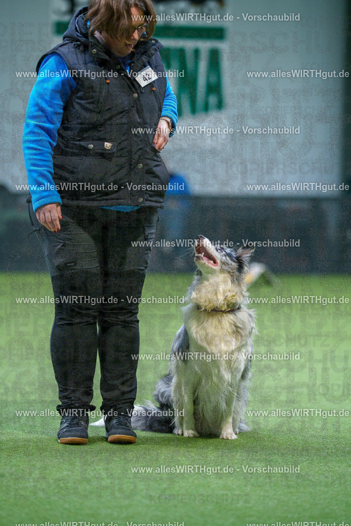 7R506299 | Professionelle Tierfotografie in Mönchengladbach von Daniel Wirth (allesWIRTHgut). Liebevolle & natürliche Bilder von Hunden & Katzen für unvergessliche Erinnerungen.