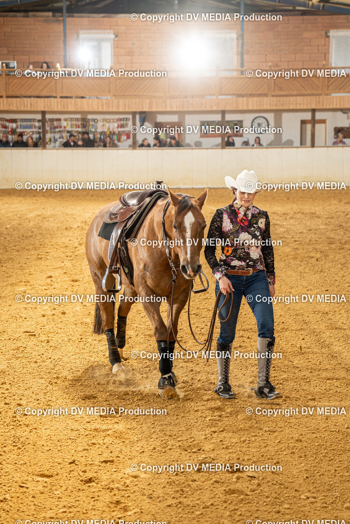 MIT01368 | dv-media-shop - Realisiert mit Pictrs.com