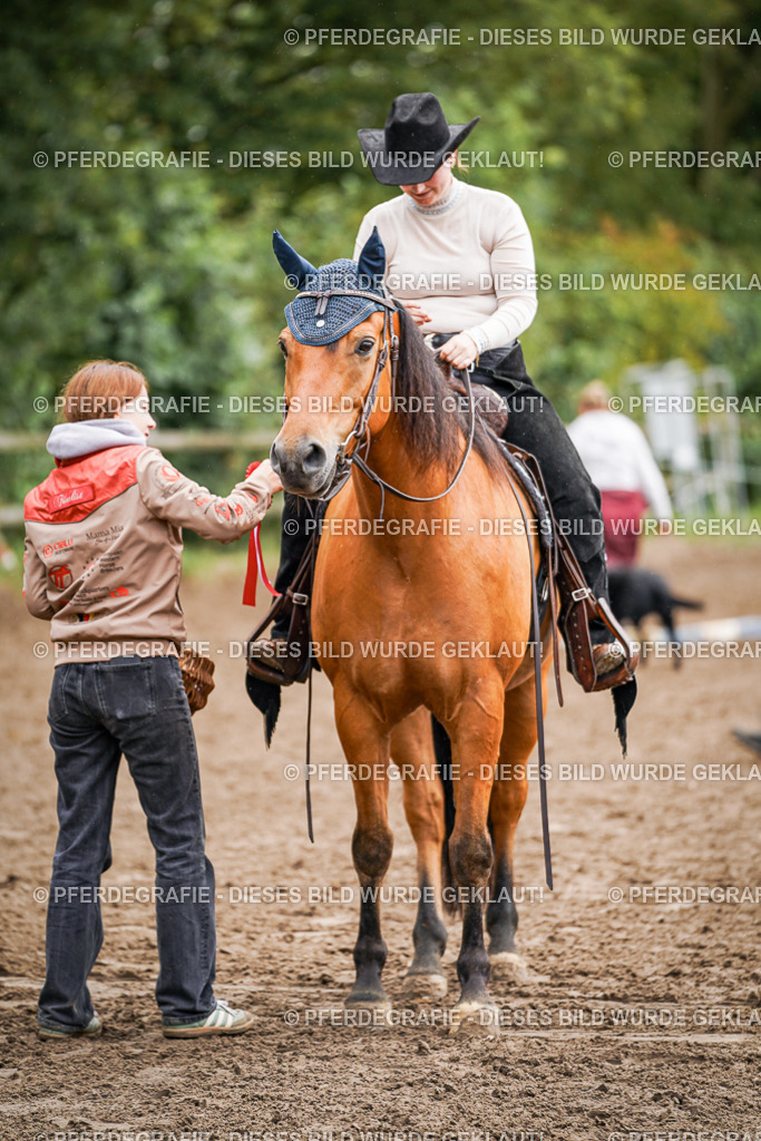 DSC04576 | Pferdegrafie