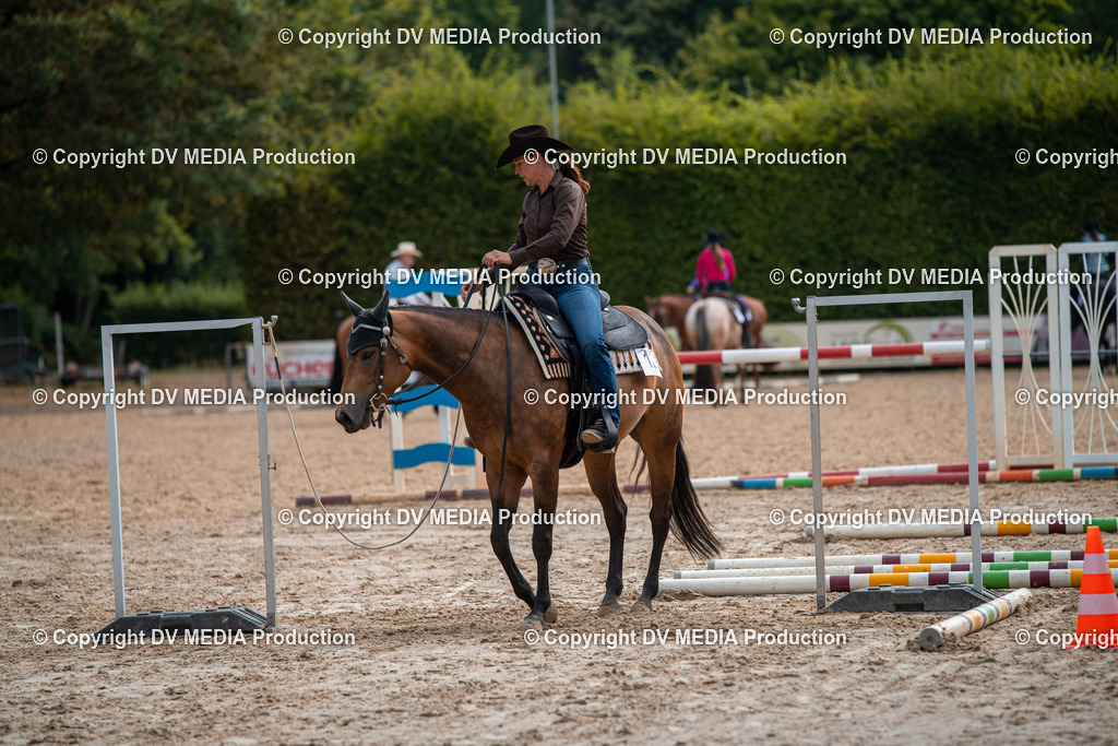 ZS3_9337 | dv-media-shop - Realisiert mit Pictrs.com