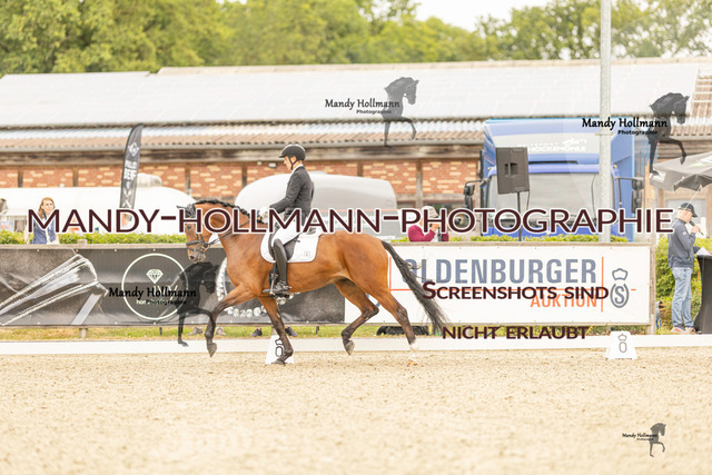 SW 4-394 | mandyhollmannphotographie