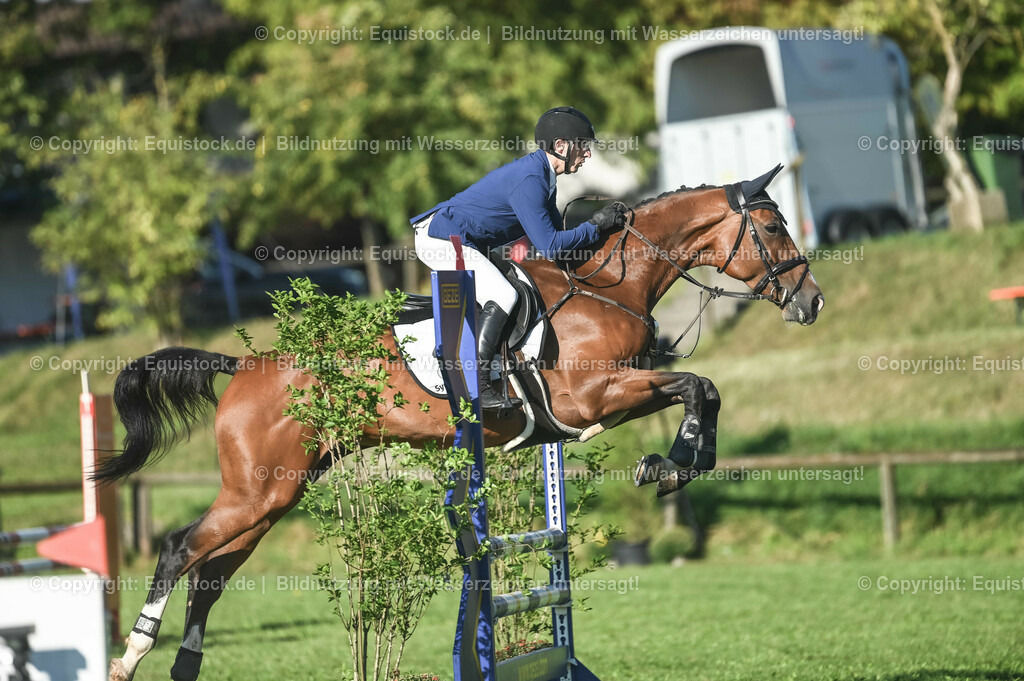 20230908_14-15_Springpferde-A_0057 | equistock