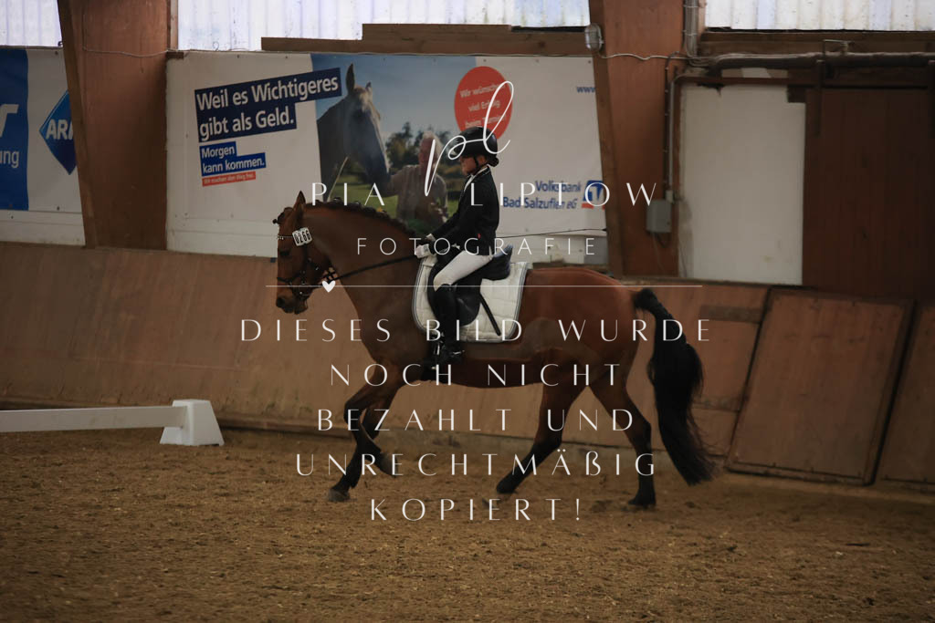 IMGT0864 | pl-fotografie