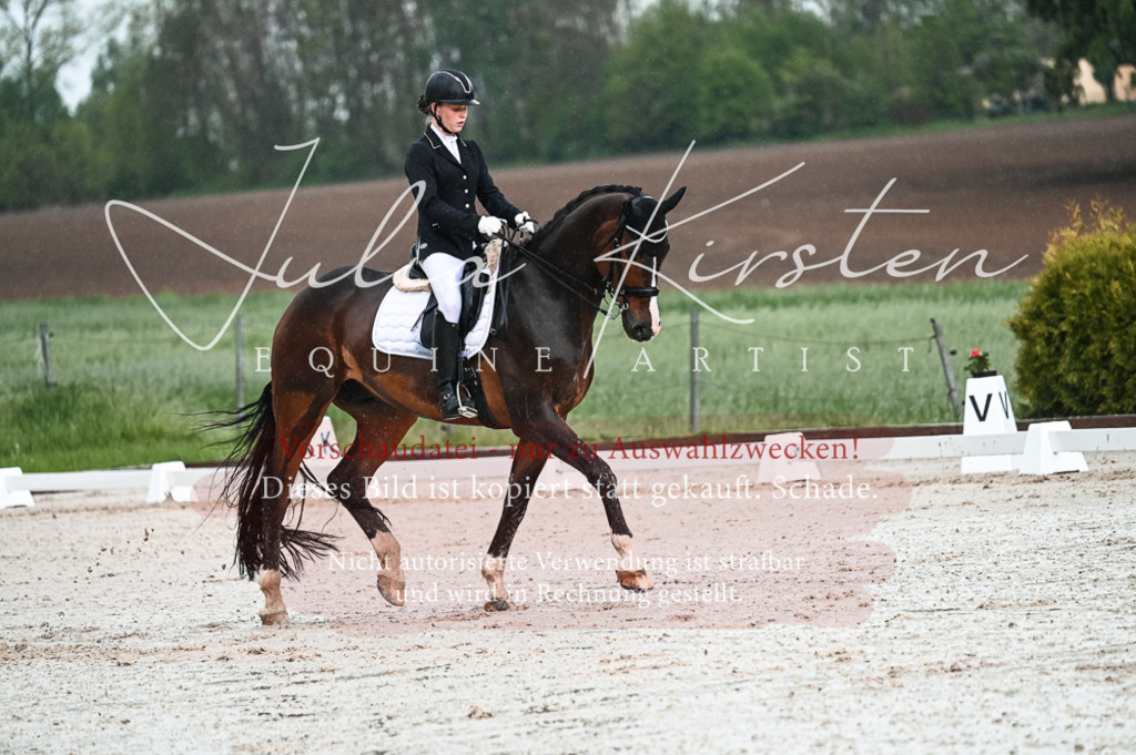 DSC_4145 | Pferde- und Turnierfotografie in Westsachsen. Pferdeportraits, Auftragszeichnungen und intuitive Kunst.