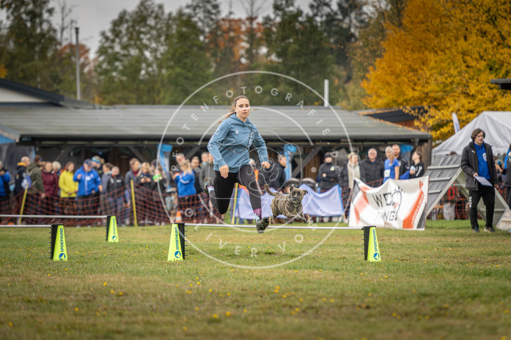 Pfotenfotografie_DV3A2915 | Hundefotografie, Tierfotograf, Pfotenfotografie, Fotoshooting Hund, Hunde Portrait, Hundesport, Hundeportraits, Heideshooting, Hunde, Sportfotograf, Hundefotograf, Turnierhundsport, THS,  - Realisiert mit Pictrs.com