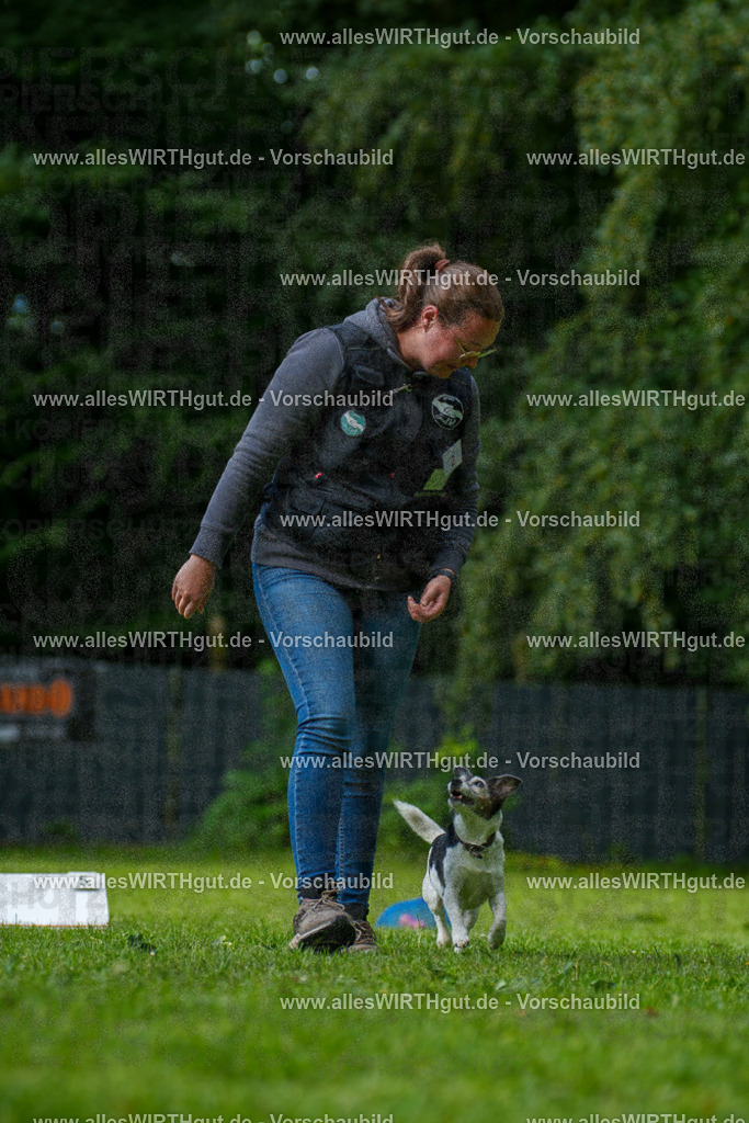@allesWIRTHgut_Tierfotografie - www.allesWIRTHgut.de - 083040-7R506261 | Professionelle Tierfotografie in Mönchengladbach von Daniel Wirth (allesWIRTHgut). Liebevolle & natürliche Bilder von Hunden & Katzen für unvergessliche Erinnerungen.
