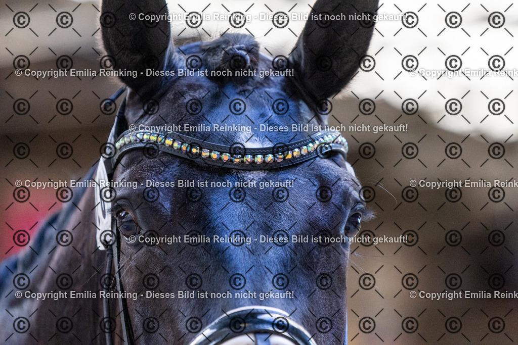 CL5A0380 | Emilia Reinking Fotografie - Realisiert mit Pictrs.com