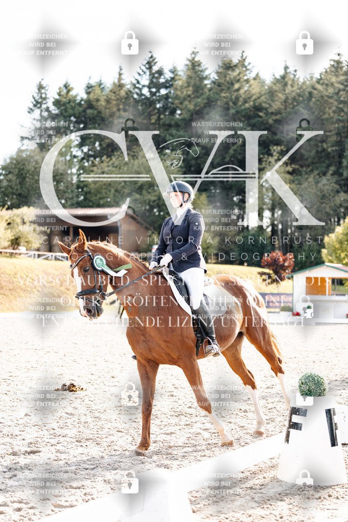 CK901792 | Turnierfotografie Pferdefotografie Trier Rheinland-Pfalz Pferdesport Reitsport Tierfotografie Sportfotografie Pferdevideo Pferdevideografie Equestrianvideography equestrianphotography  - Realisiert mit Pictrs.com