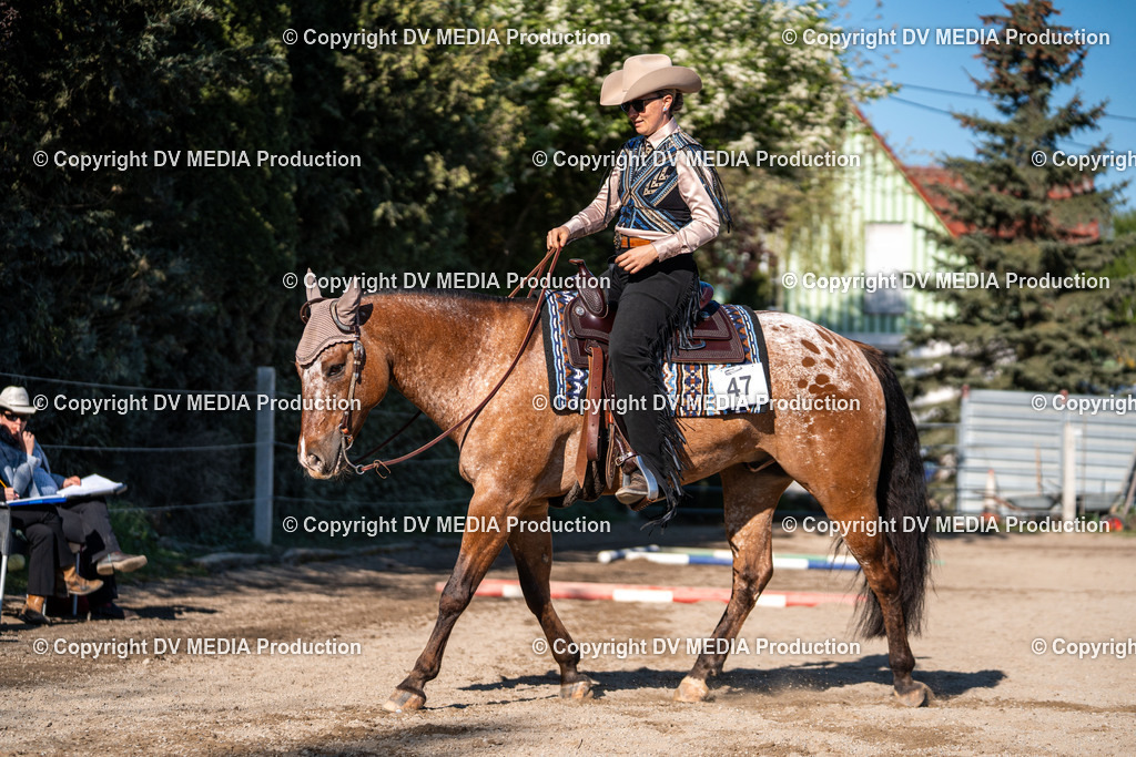 Balingen Tag 2-299 | dv-media-shop - Realisiert mit Pictrs.com