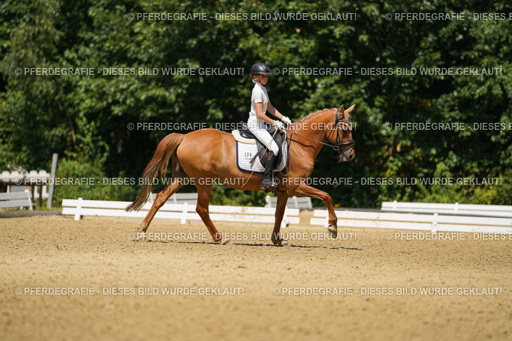 DSC05349 | Pferdegrafie