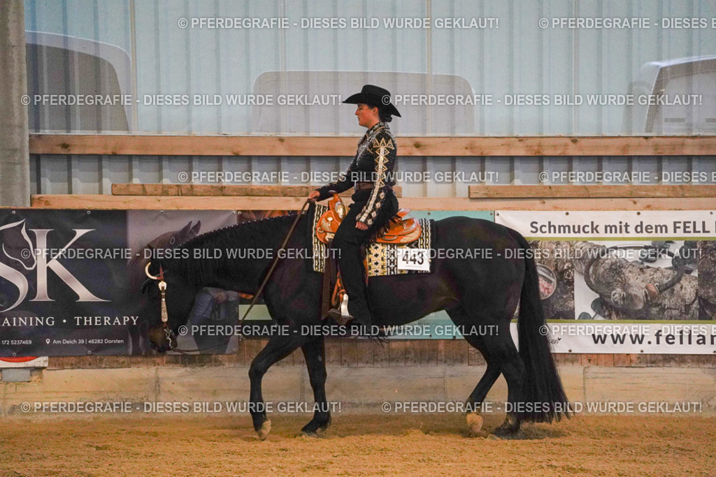 DSC08503 | Pferdegrafie