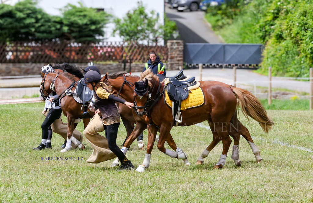1B3A1698 | Reitsport Reiten