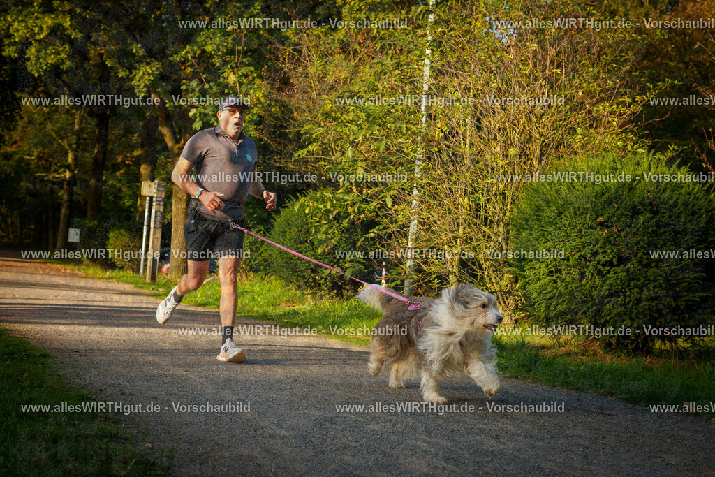 THS_Turnier_27-09-2026-allesWIRTHgut_Tierfotografie-7R505137 | Professionelle Tierfotografie in Mönchengladbach von Daniel Wirth (allesWIRTHgut). Liebevolle & natürliche Bilder von Hunden & Katzen für unvergessliche Erinnerungen.