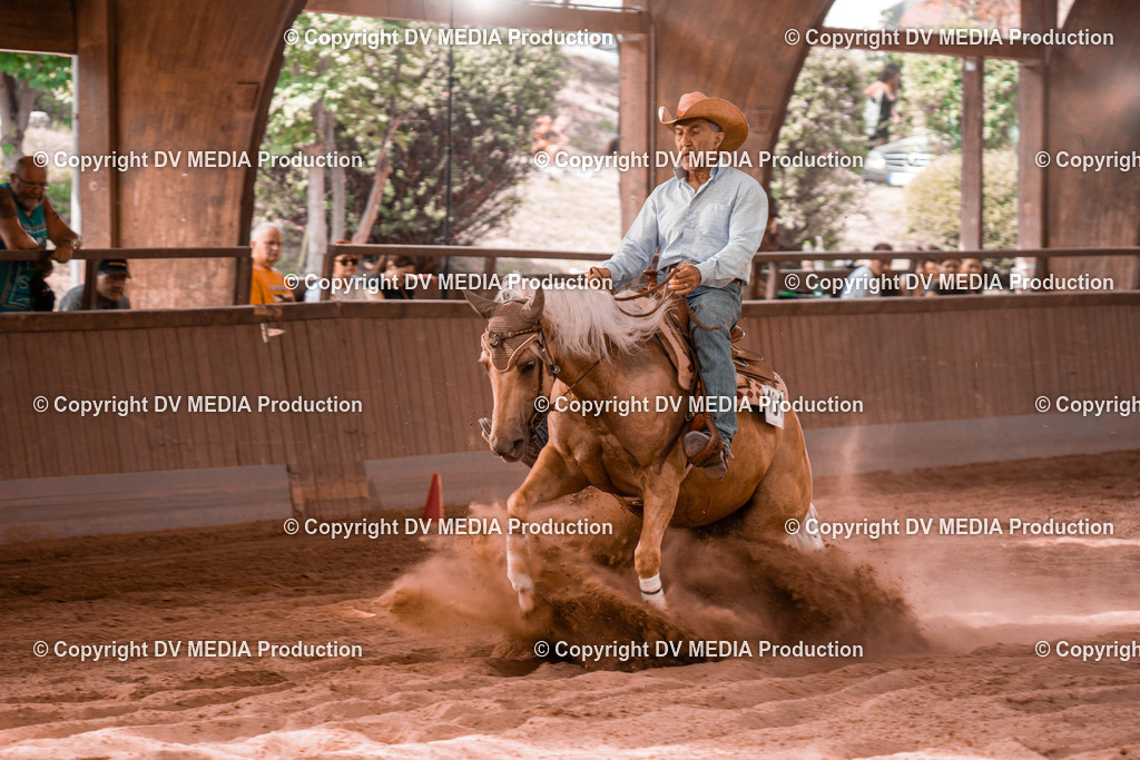 NE300731 | dv-media-shop - Realisiert mit Pictrs.com